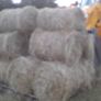 Mini round bales hay Image 3