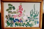vintage botanical pressed flowers framed art by Joanna Sheen