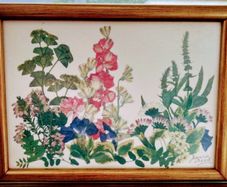 vintage botanical pressed flowers framed art by Joanna Sheen