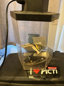 fish tank