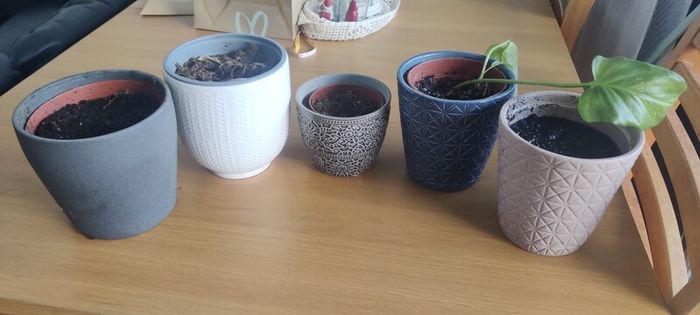 Vases