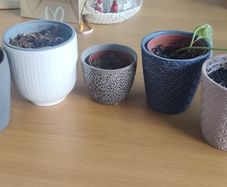 Vases