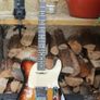 Fender Telecaster USA 60th anniversary Diamond Image 8