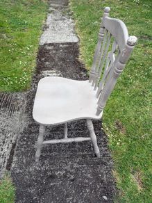 Kitchen Chairs / Dining Chairs - free