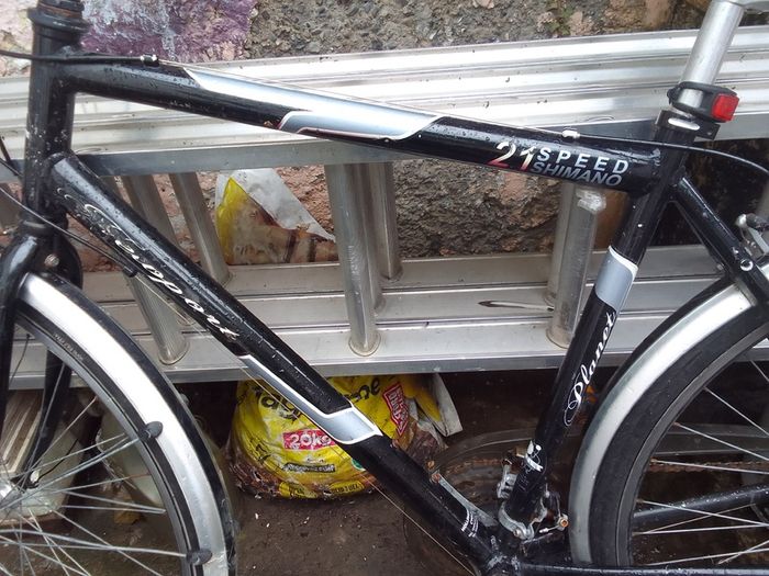 adult bike for sale