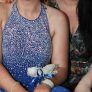 Royal Blue Debs Dress Image 4