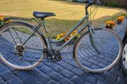 Ladies City Bike Used In Working Order No Offers