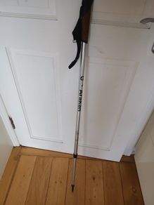 walking stick