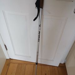 walking stick