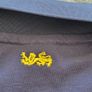 Lions Rugby Men's Canterbury Polo Shirt Size XL Image 6
