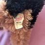 3 x Jo jo siwa plush toys 2 small 6" and a 9" puppy 2017 all in excellent condition Image 5