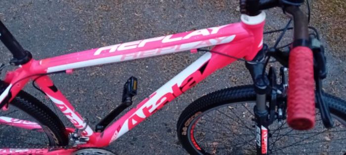 Bargin Mountain Bike