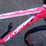 Bargin Mountain Bike Image 5