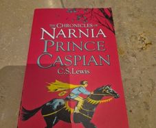 the chronicles of narnia Prince Caspian