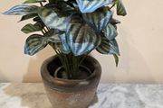 Fake Plant