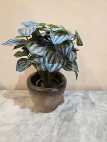 Fake Plant