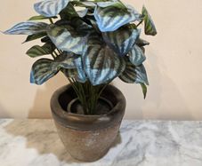 Fake Plant