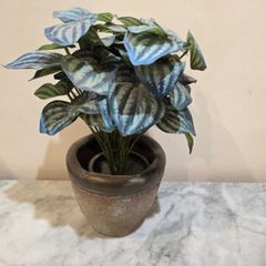 Fake Plant
