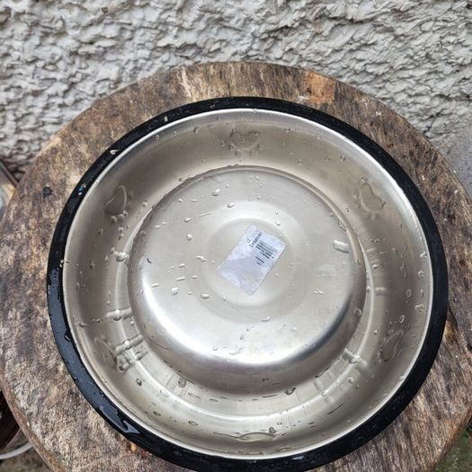 large dog bowl