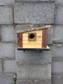 Bird house