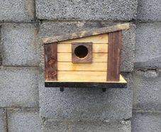 Bird house