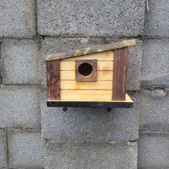 Bird house