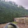 Gardening Image 4