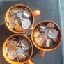 Coin Collection Image 3