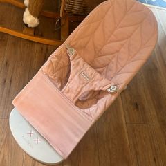 Baby Bjorn Bouncer