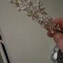 Tiaras Image 6