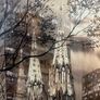 St. Patrick's Cathedral ,New York Image 7