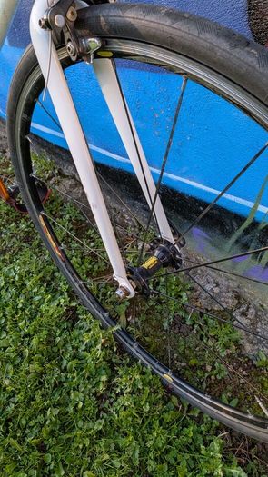 Fixie bike Giant Bowery 72 limited edition, track, pista.