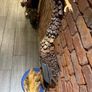 Stunning Handmade Sculpture Image 4