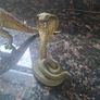 Animals Image 3