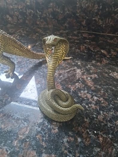 Animals