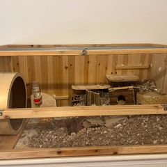Hamster Cage & accessories