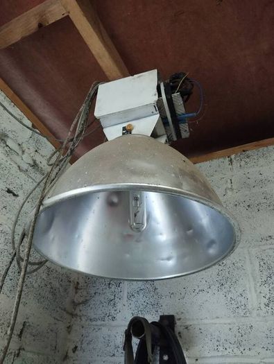 grow lamp