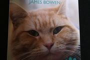A Street Cat named Bob. An Uplifting True Story