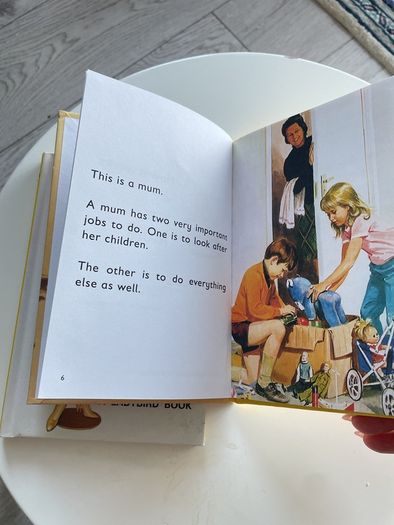 Vintage Ladybird for Adults