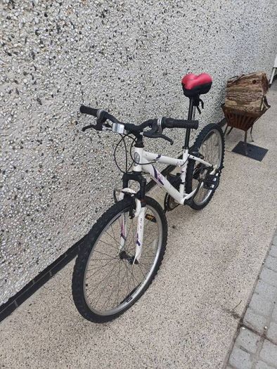 Standard road bike