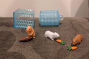 Toy guinea pigs