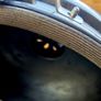 bbq XL Kamado egg Image 8