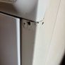Zanussi Condenser Dryer Image 4