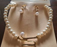 Necklace and earrings set