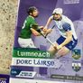 Limerick hurling programmes Image 5