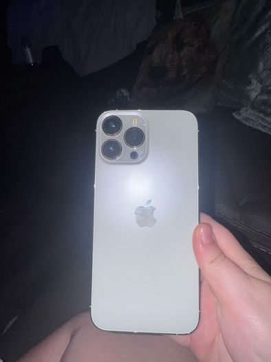 iPhone 13 Pro Max