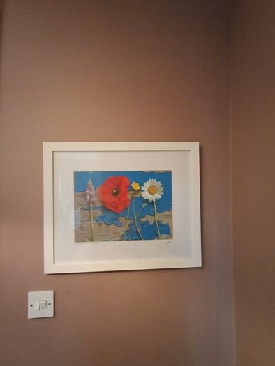 'Wild Flowers on a Blue Boat'