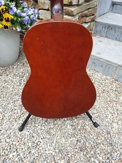 Seagull S6+ Folk Project Guitar