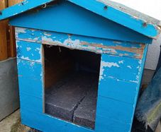 Dog kennel