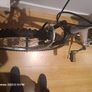 apollo Twilight mountain bike Image 2